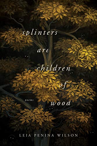 Book Splinters Are Children of Wood (Ernest Sandeen Prize in Poetry) free