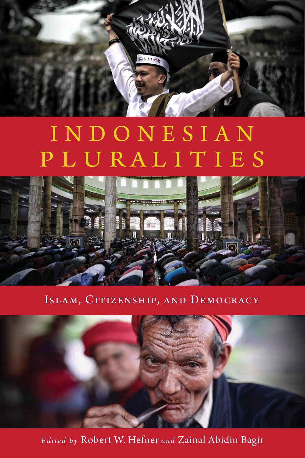 Book Indonesian Pluralities free