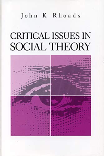 Book Critical Issues in Social Theory free