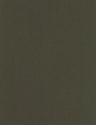 Book Caravaggio: The Art of Realism free