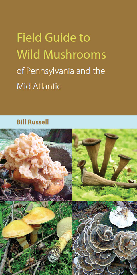 Book Field Guide to Wild Mushrooms of Pennsylvania and the Mid-Atlantic free