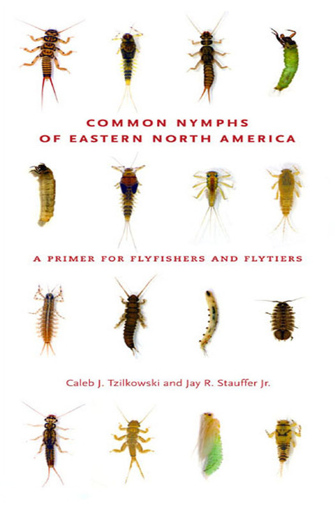 Book Common Nymphs of Eastern North America free