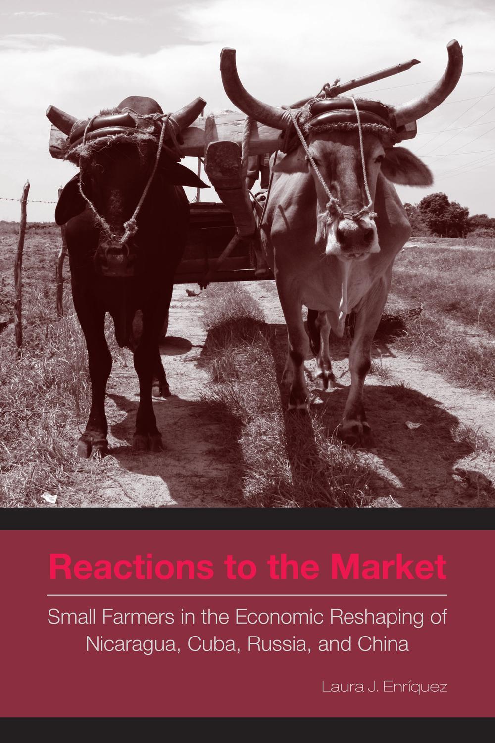 Book Reactions to the Market free