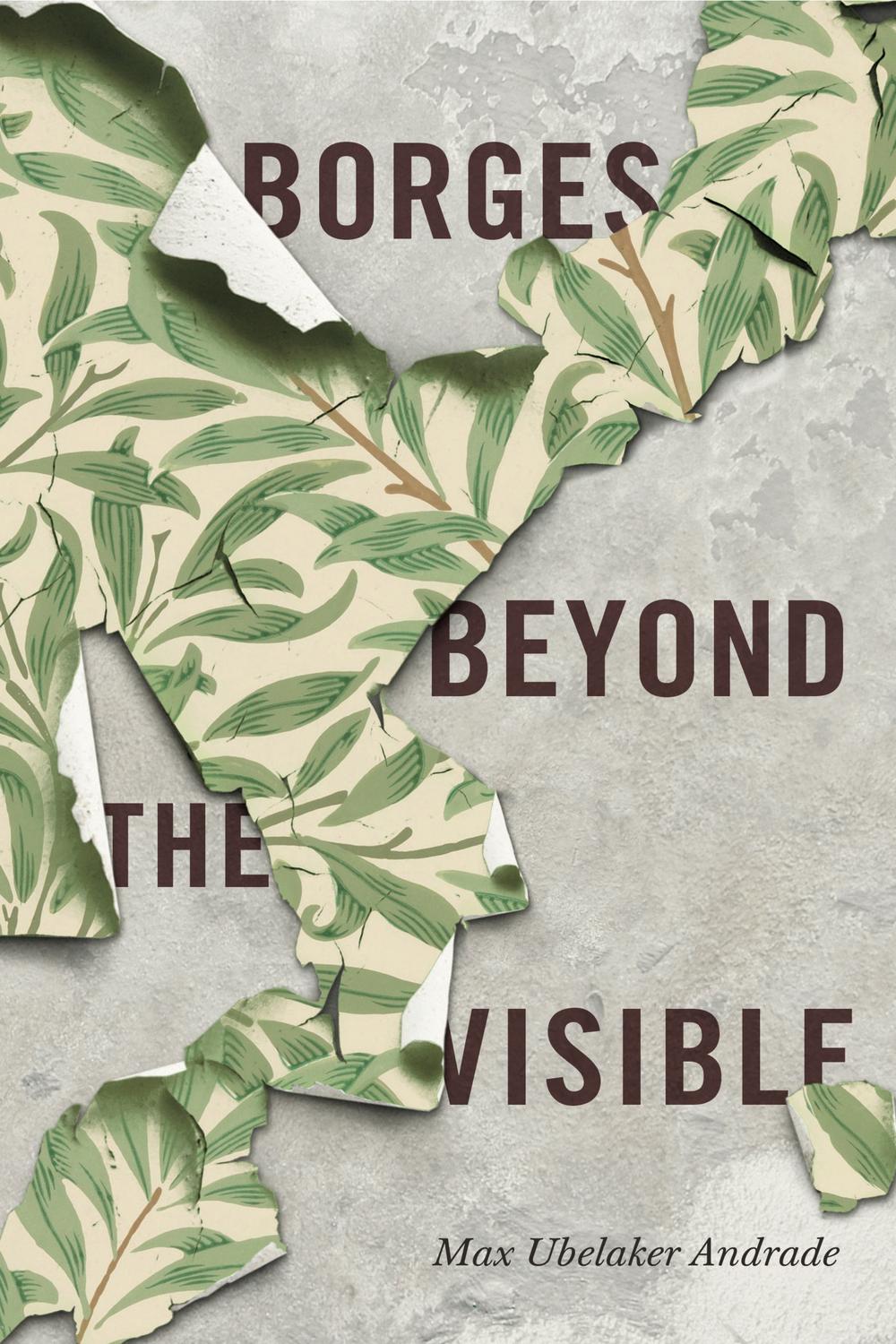 Book Borges Beyond the Visible free