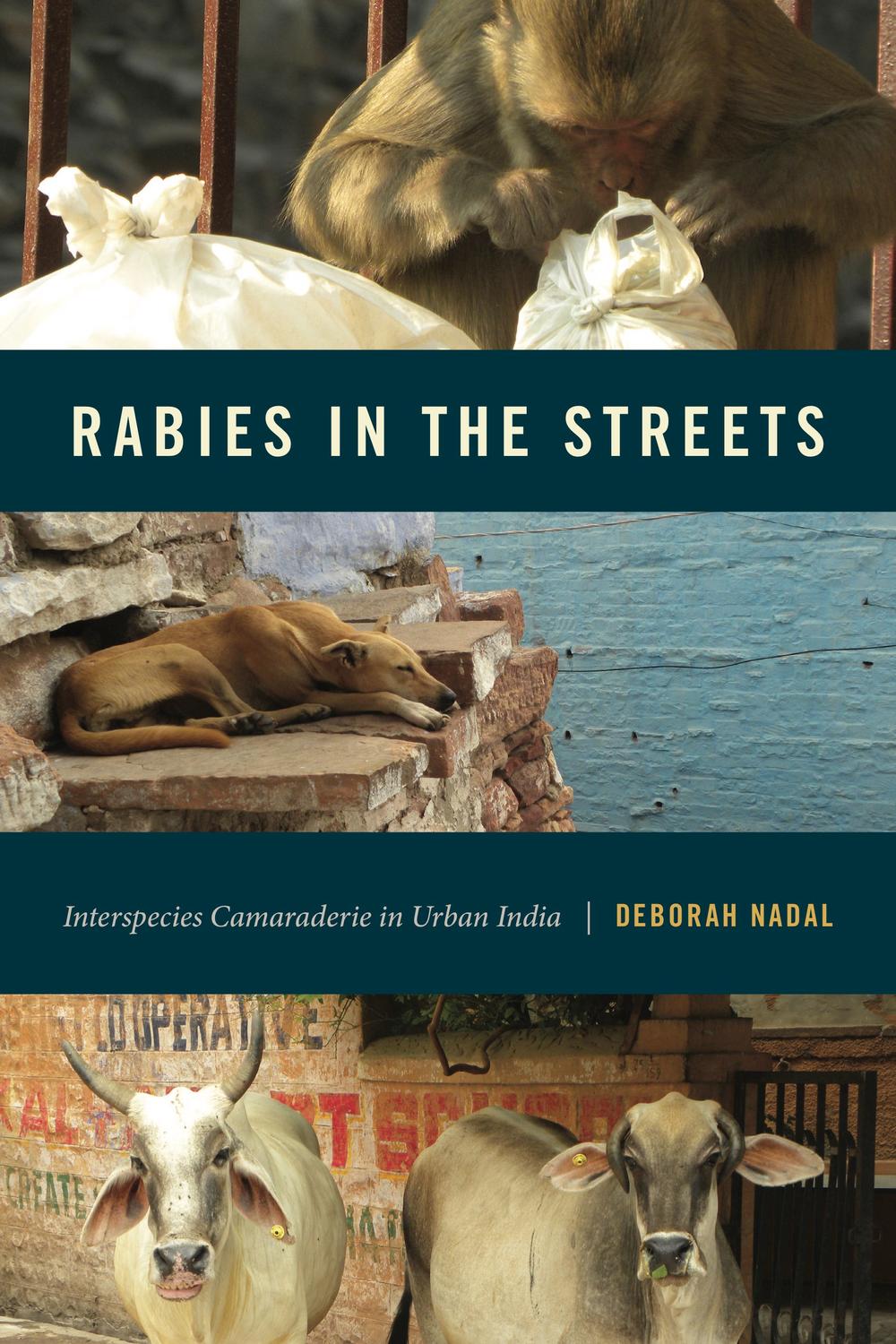 Book Rabies in the Streets free
