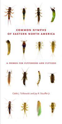 Book Common Nymphs of Eastern North America (A Primer for Flyfishers and Flytiers) free