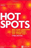 Book Hot Spots: Why Some Companies Buzz with Energy and Innovation - and Others Don't free
