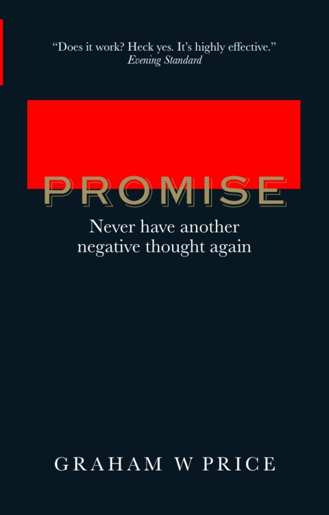 Book Promise, The: Never Have Another Negative Thought Again free