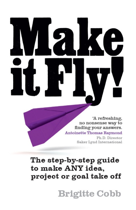 Book Make It Fly! ePub eBook: The step by step guide to make ANY idea, project or goal take off free