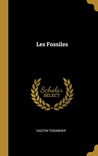 Book Les Fossiles (French Edition) free