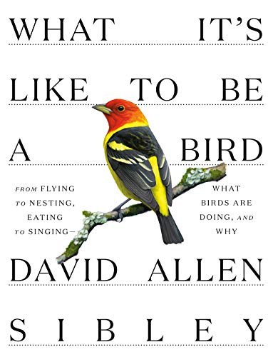 Book What It's Like to Be a Bird: From Flying to Nesting, Eating to Singing--What Birds Are Doing, and Why (Sibley Guides) free