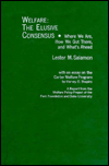 Book Welfare, the Elusive Consensus: Where We are, How We Got There, and What's Ahead free
