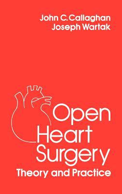 Book Open Heart Surgery Theory and Practice (Surgical Science Series) free