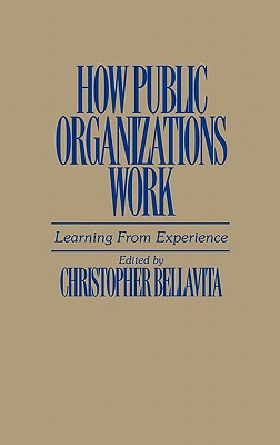 Book How Public Organizations Work: Learning From Experience free