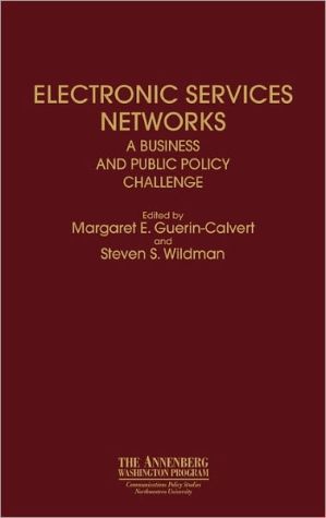 Book Electronic Services Networks: A Business and Public Policy Challenge free