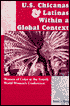 Book U.S. Chicanas and Latinas Within a Global Context: Women of Color at the Fourth World Women's Conference (Strategic Thought) free
