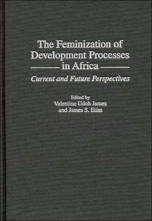 Book The Feminization of Development Processes in Africa: Current and Future Perspectives free