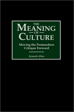Book The Meaning of Culture: Moving the Postmodern Critique Forward free