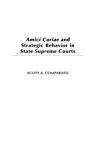 Book Amici Curiae and Strategic Behavior in State Supreme Courts free
