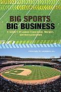 Book Big Sports, Big Business: A Century of League Expansions, Mergers, and Reorganizations free