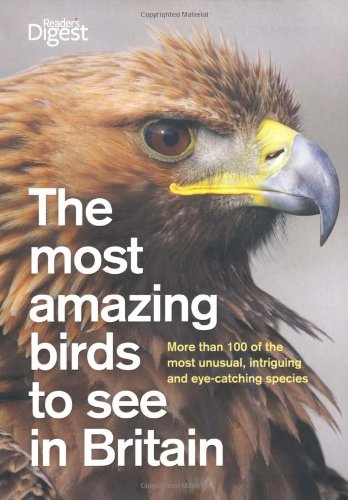 Book The Most Amazing Birds to See in Britain: More Than 120 Unusual and Eye-Catching Species free