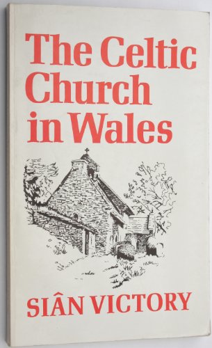 Book The Celtic Church In Wales free