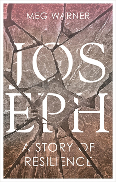 Book Joseph: A Story of Resilience free