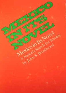 Book Mexico In Its Novel : A Nation's Search For Identity free