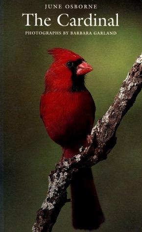 Book The Cardinal (Corrie Herring Hooks Series) free