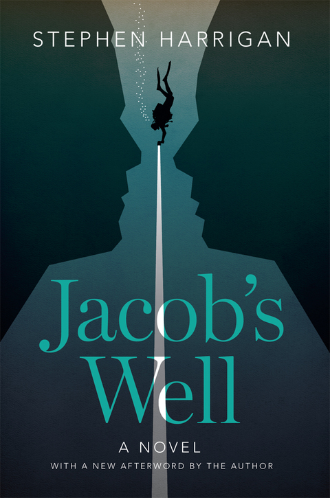 Book Jacob's Well: A Novel free