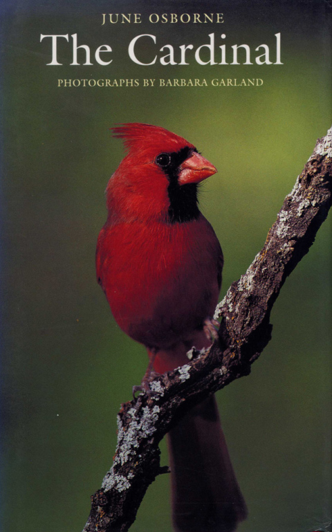 Book The Cardinal free