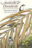 Book Antbirds and Ovenbirds: Their Lives and Homes (Corrie Herring Hooks Series) free