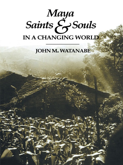 Book Maya Saints and Souls in a Changing World free