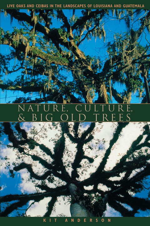 Book Nature, Culture, and Big Old Trees free