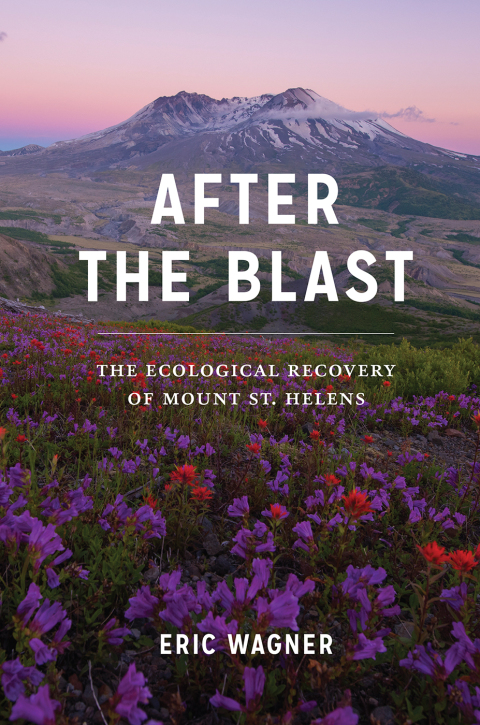 Book After the Blast free
