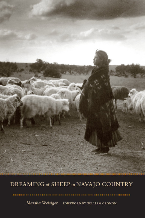 Book Dreaming of Sheep in Navajo Country (Weyerhaeuser Environmental Books) free