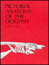 Book Pictorial Anatomy of the Dogfish free