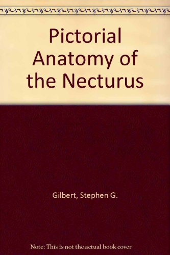 Book Pictorial Anatomy Of The Necturus. free