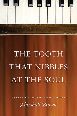 Book The Tooth That Nibbles at the Soul: Essays on Music and Poetry (Literary Conjugations) free