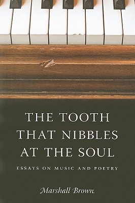 Book The Tooth That Nibbles at the Soul: Essays on Music and Poetry (Literary Conjugations) free