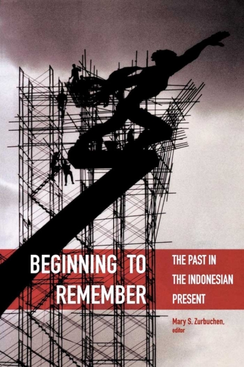 Book Beginning to Remember free