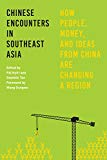 Book Chinese Encounters in Southeast Asia: How People, Money, and Ideas from China Are Changing a Region free
