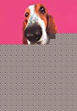 Book THE TRUTH ABOUT DOGS. free