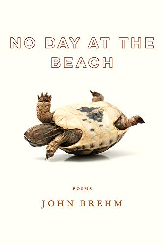 Book No Day at the Beach (Wisconsin Poetry Series) free