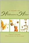 Book A Guide to Wildflowers in Winter: Herbaceous Plants of Northeastern North America free