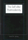 Book The Self After Postmodernity free