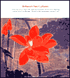 Book Between Two Cultures: Late-Nineteenth- and Early-Twentieth-Century Chinese Painting from the Robert H. Ellsworth Collection free