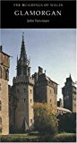 Book GLAMORGAN (THE BUILDINGS OF WALES) free