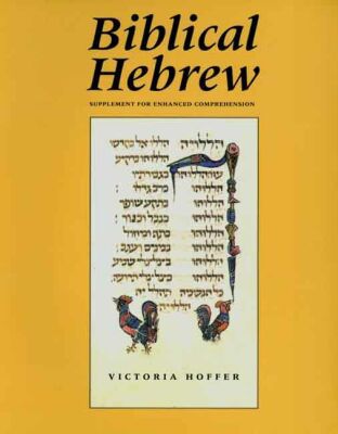 Book Biblical Hebrew (Supplement for Advanced Comprehension) (Yale Language Series) free