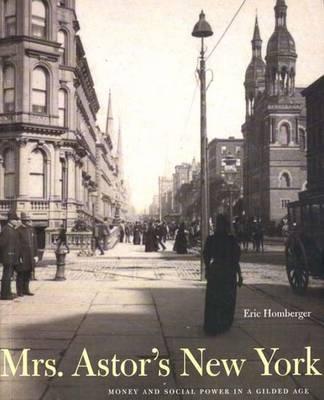 Book Mrs. Astors New York: Money and Social Power in a Gilded Age free